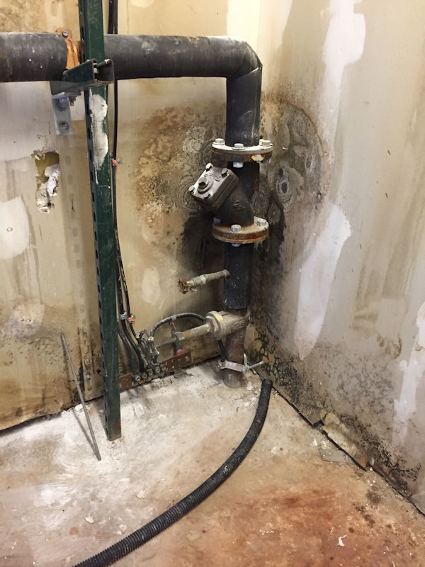 mold in mechanical room